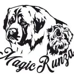 magic-runza
